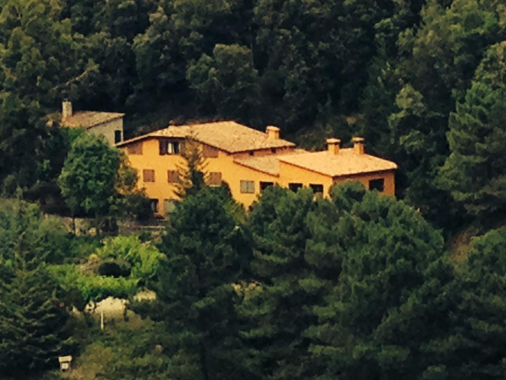Hostal L'Ou De Reig Montseny Exterior photo