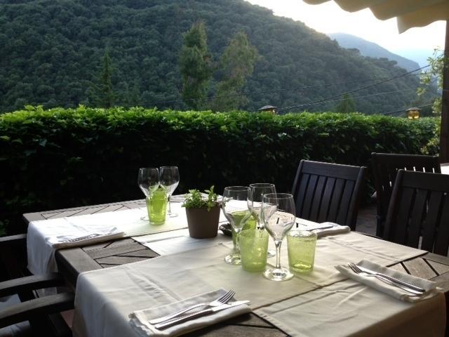 Hostal L'Ou De Reig Montseny Exterior photo