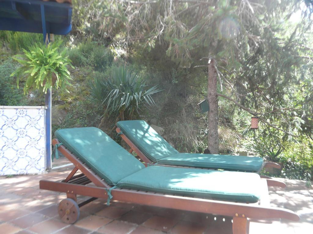 Hostal L'Ou De Reig Montseny Exterior photo